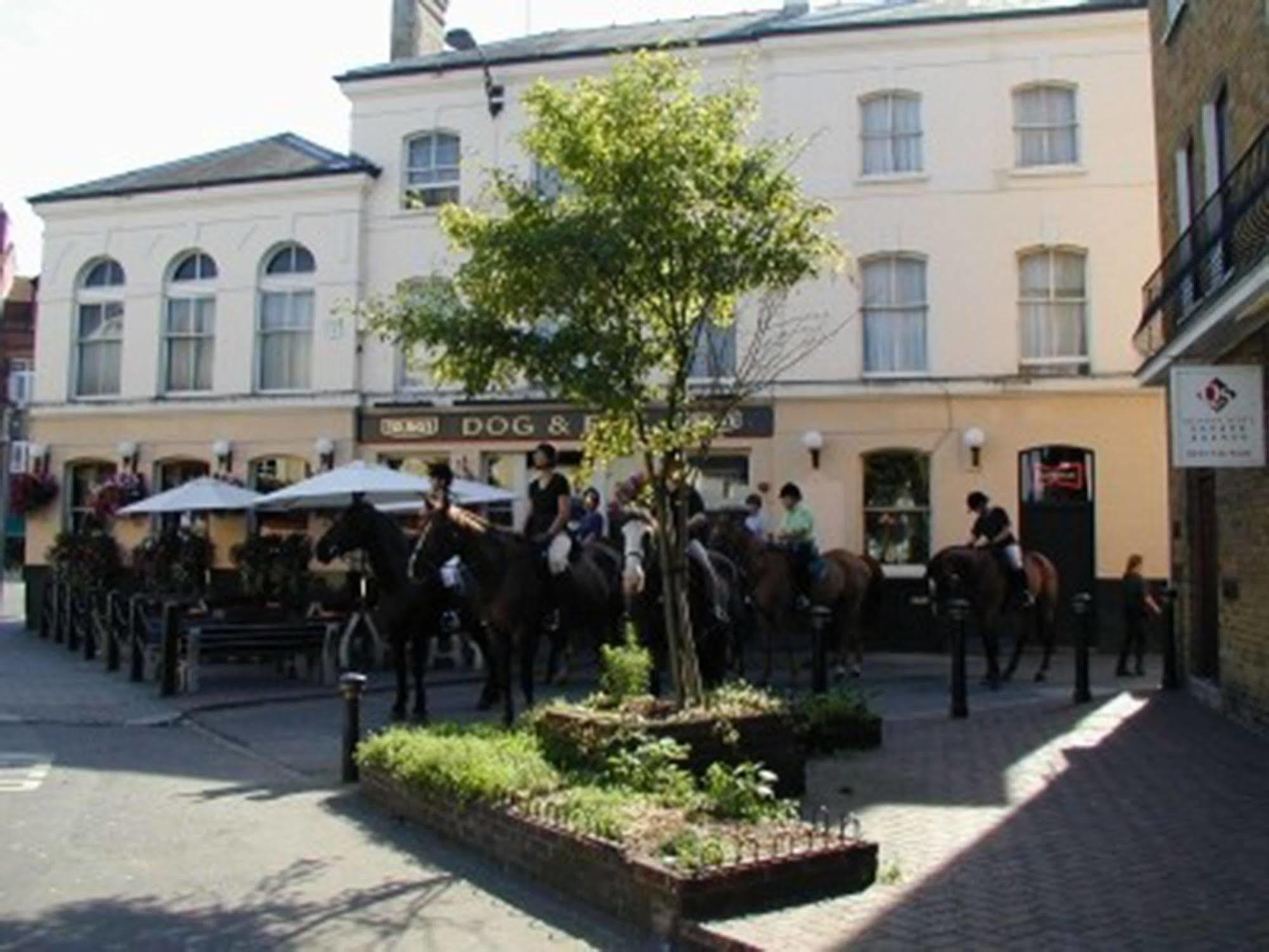 Lovely Garden Apartment In Wimbledon Town Centre With Private Parking By Wimbledon Holiday Lets London Ngoại thất bức ảnh